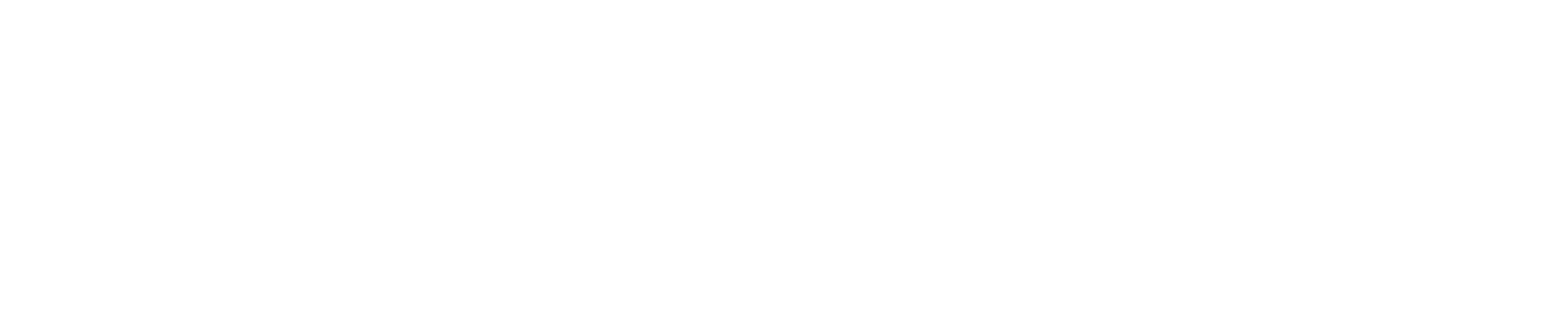 Akiha – Business Solutions